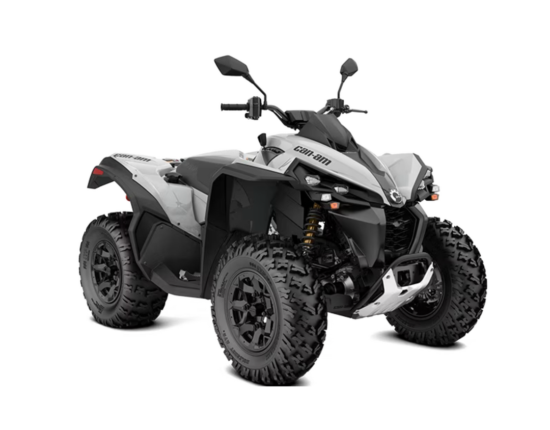 CAN-AM RENEGADE 650 T ABS